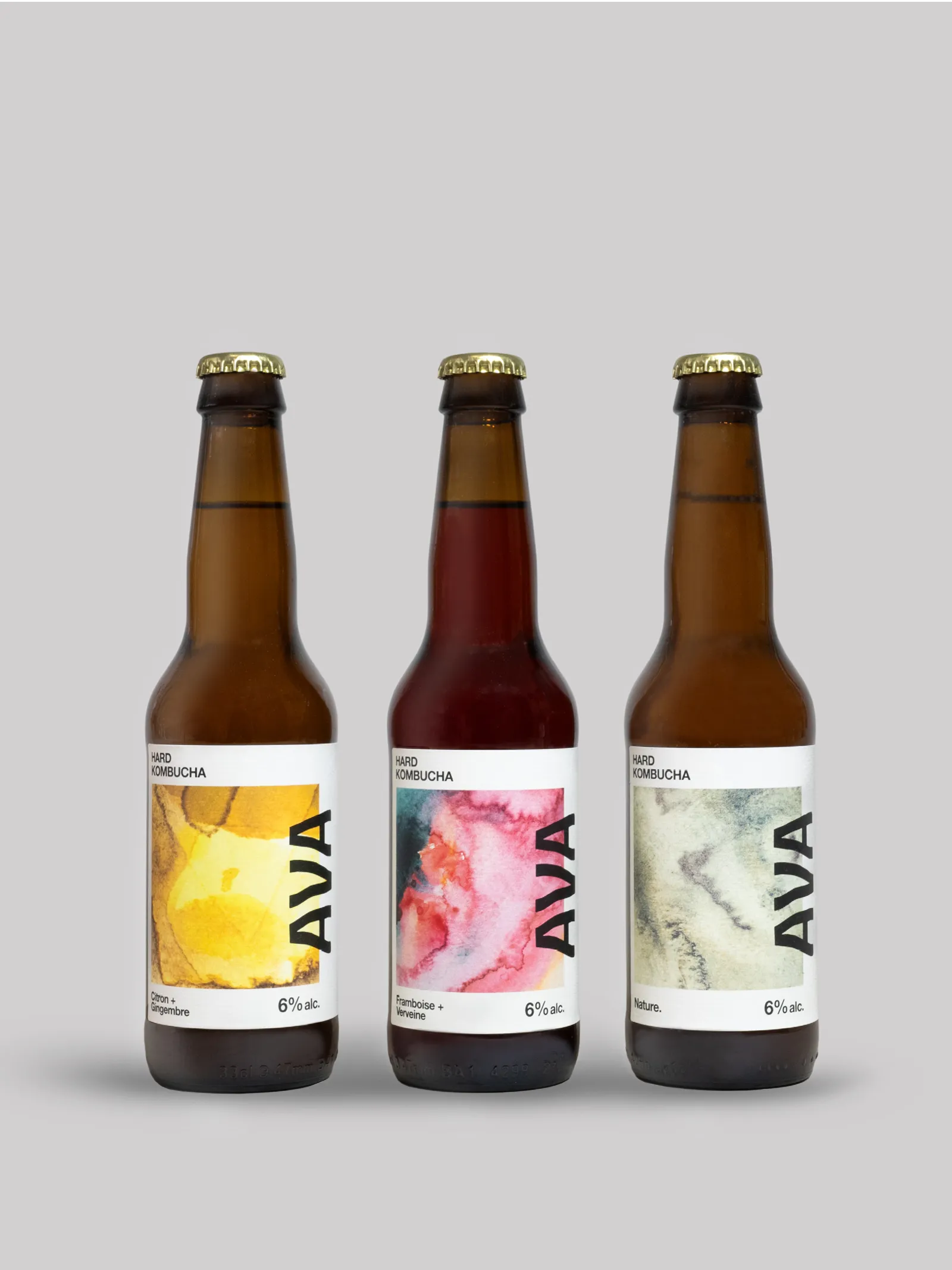 PACK DÉCOUVERTE - 12x33cl